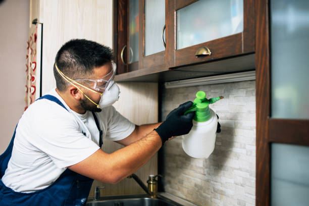 Best Cockroach Control Services  in Prescott, AR