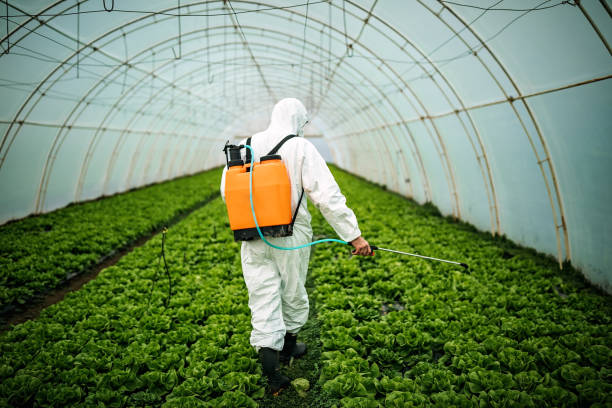 Best Local Pest Control Services  in Prescott, AR