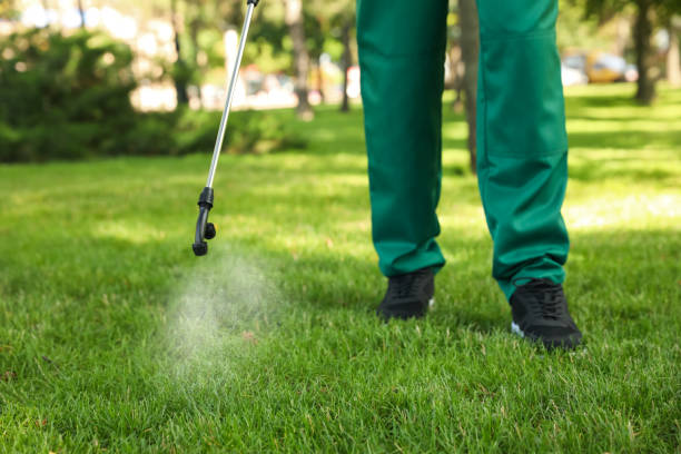 Professional Pest Control in Prescott, AR