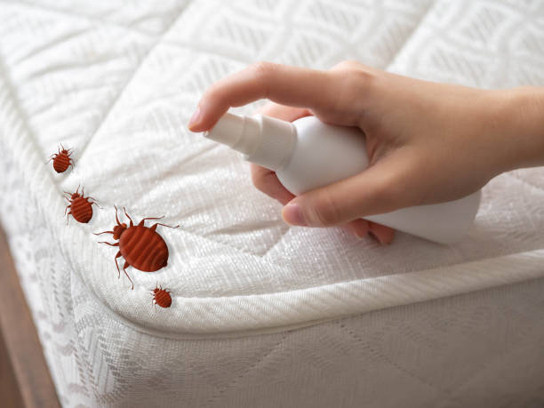 Best Emergency Pest Control  in Prescott, AR
