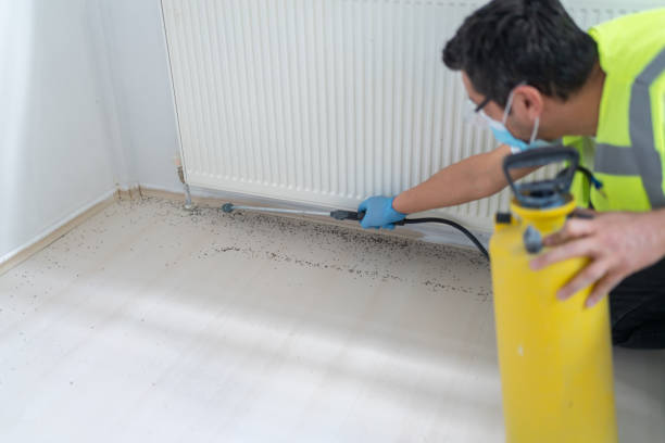Best Affordable Pest Control Services  in Prescott, AR