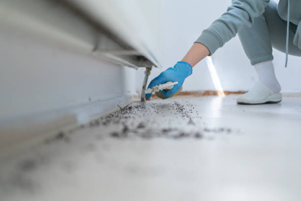 Best Wildlife Control Services  in Prescott, AR