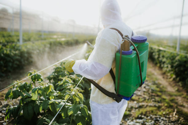 Best Pest Control Near Me  in Prescott, AR